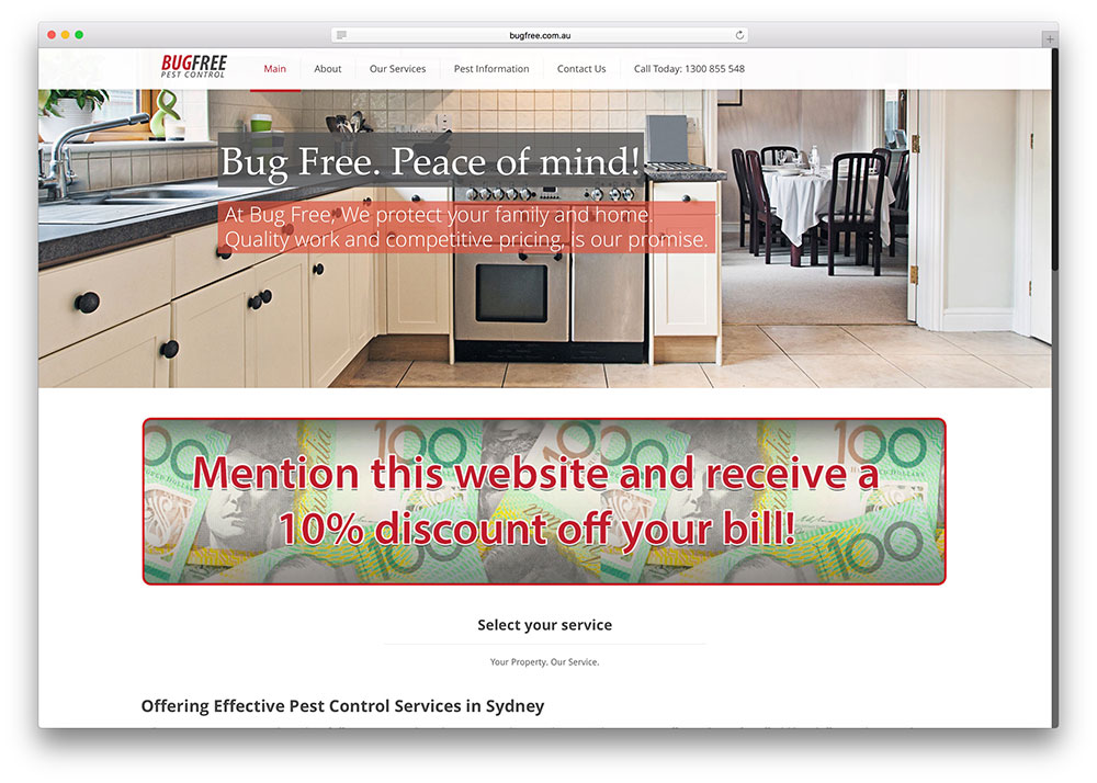 bugfree-pest-control-business-site-example-with-wordpress