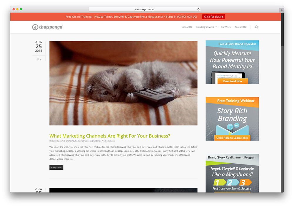 thesponge-marketing-blog-with-salient-theme