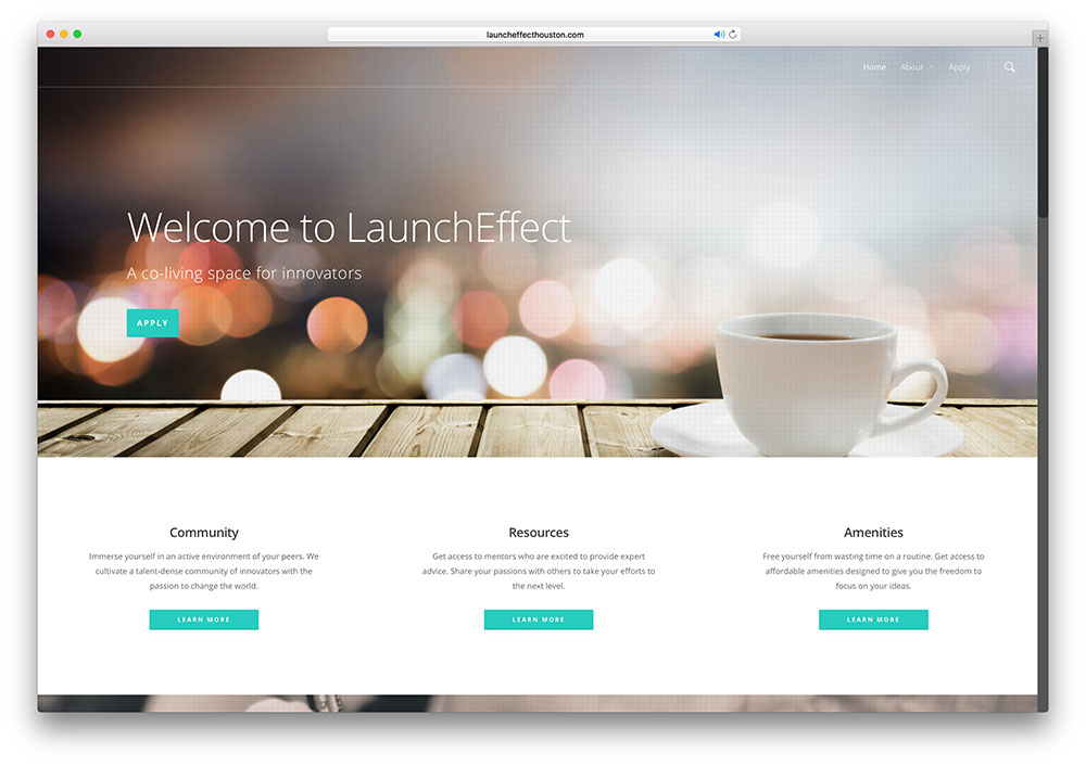 launcheffecthouston-community-website-example