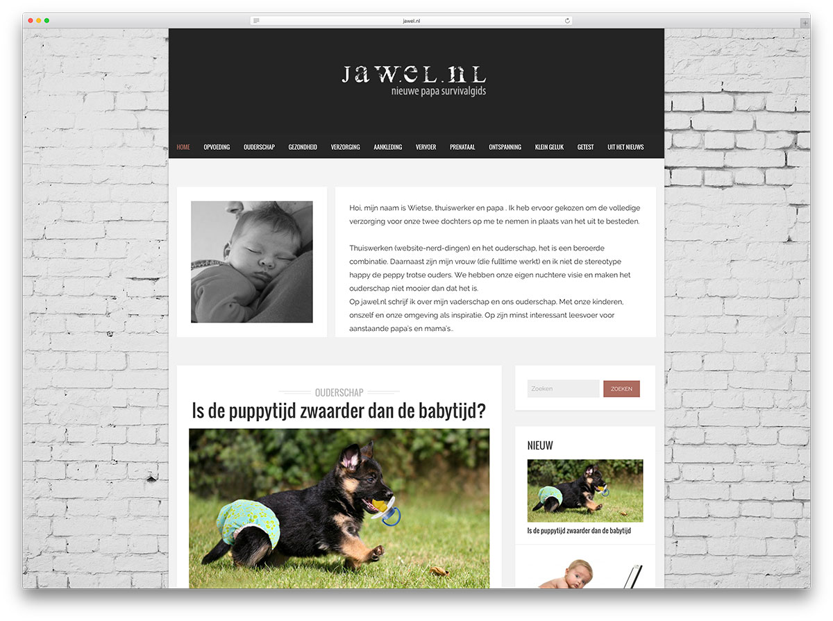 jawel-личная-идея-блог-с-wordpress