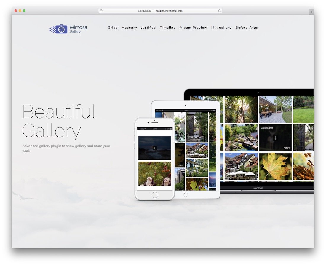 mosa wordpress 画廊插件