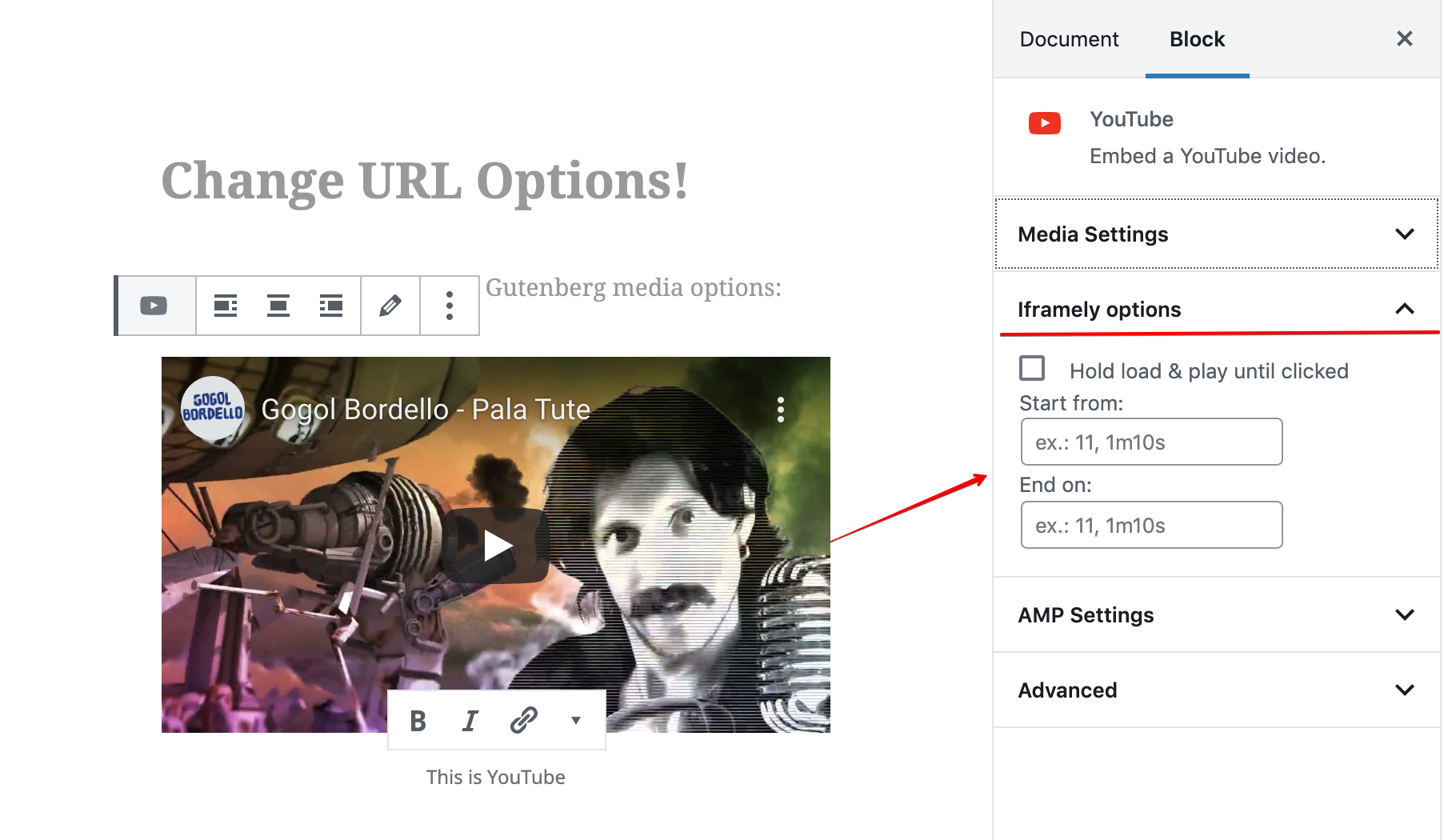 Einfach zu bedienende WordPress iFrame-Plugins