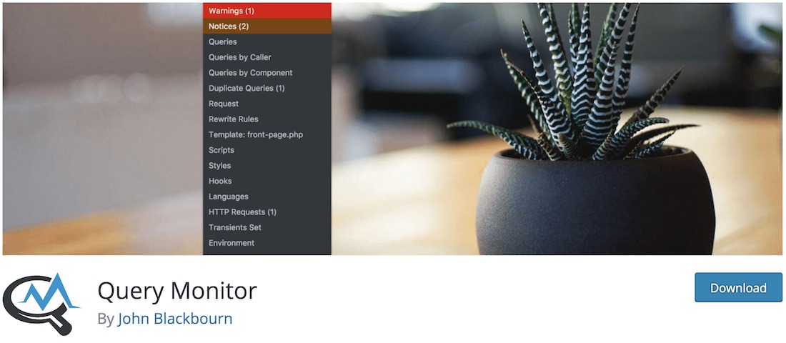 plugin wordpress de moniteur de requête