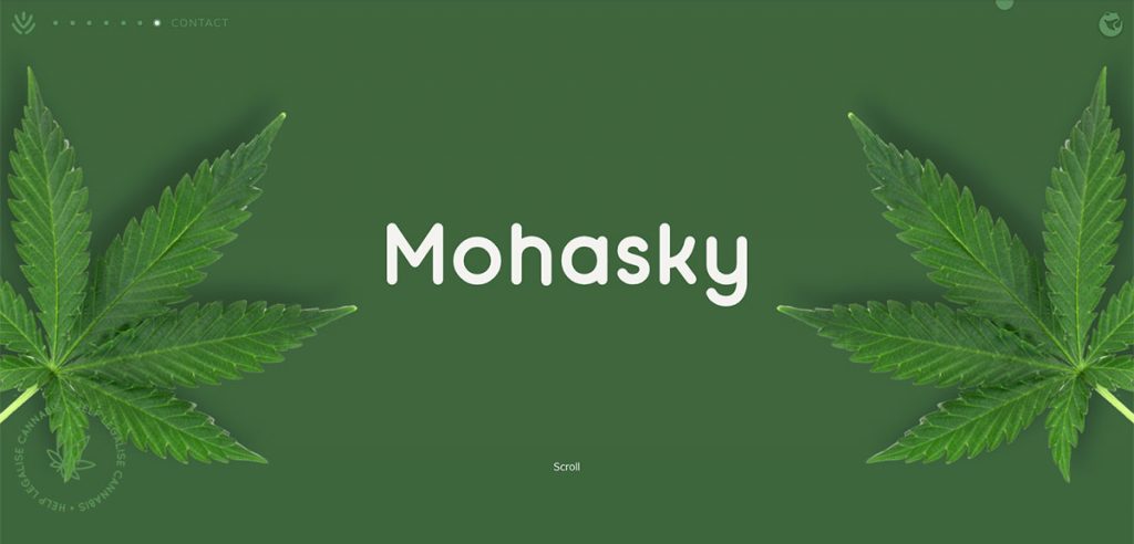 모하스키