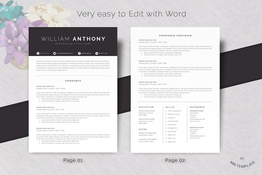 curriculum vitae cv 4 pages word