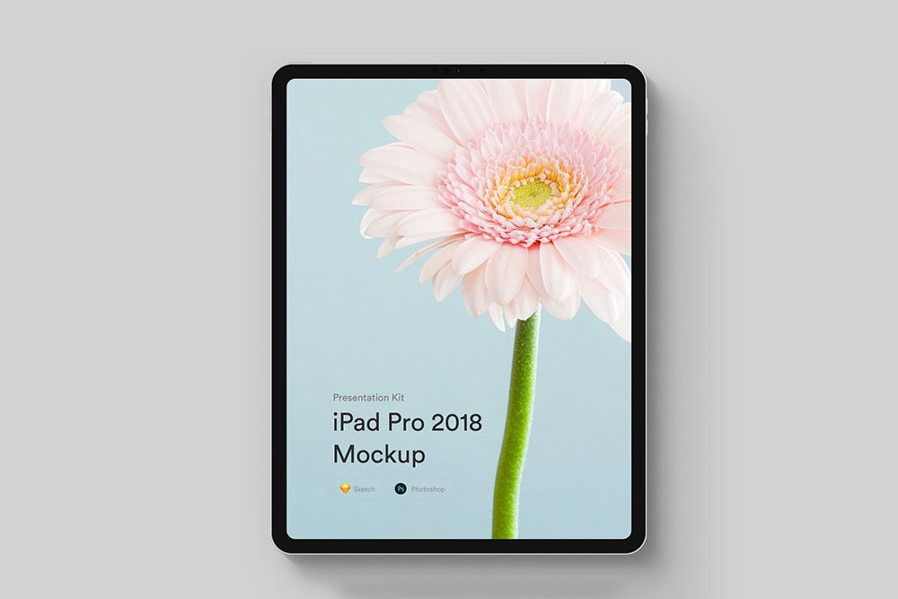 maquette ipad pro