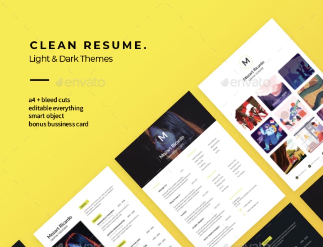 curriculum vitae simple