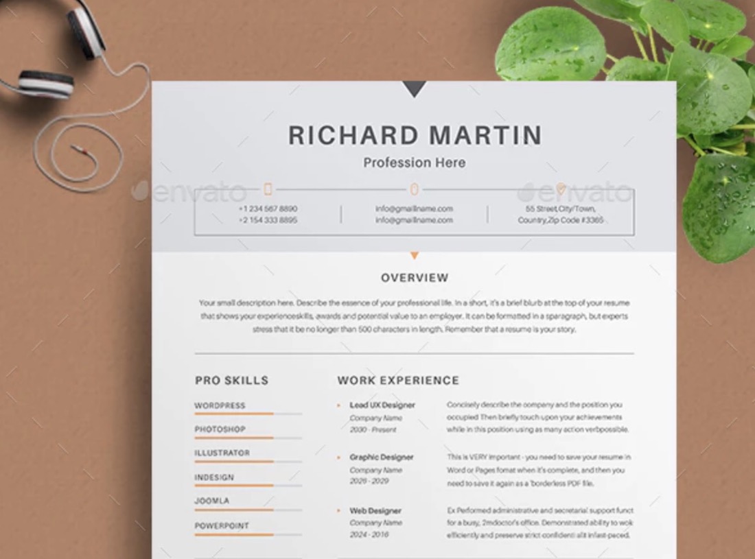 curriculum vitae moderno