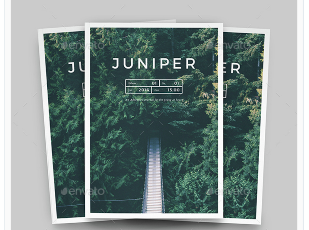 Portafolio de la revista Juniper