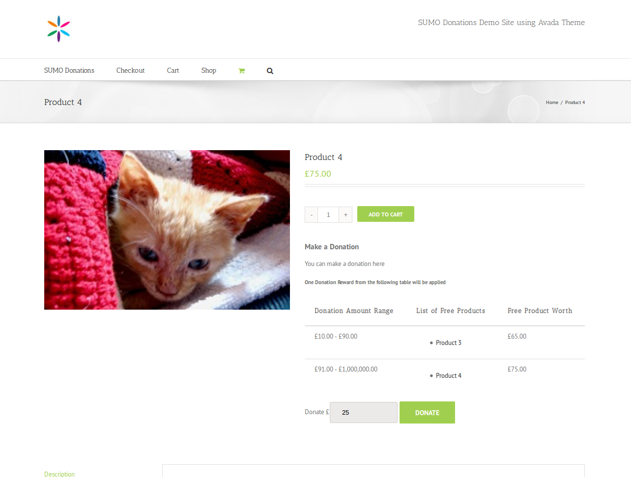 Plugin di donazione WooCommerce facili da usare
