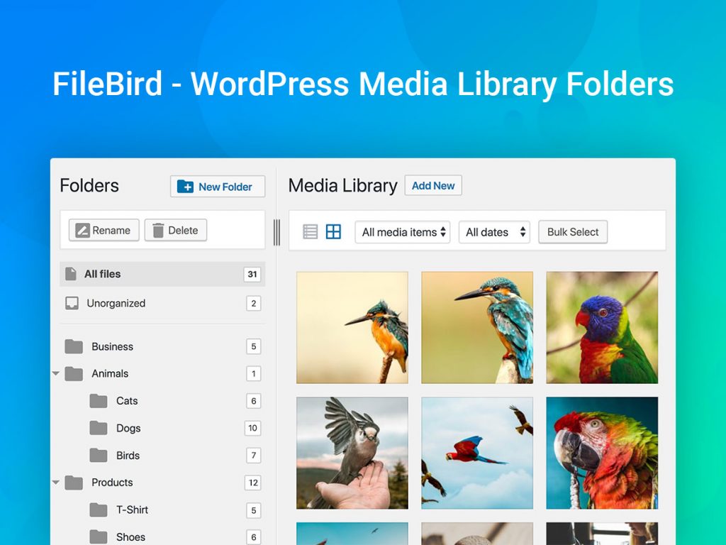 Dosar bibliotecă media WordPress