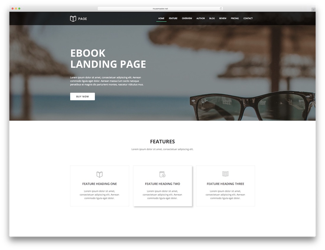 modèle d'atterrissage de page adobe muse