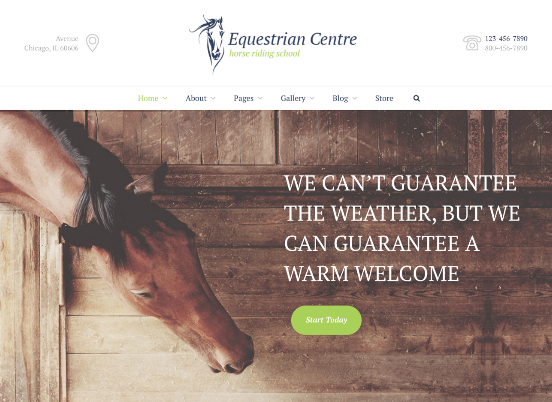 Centre équestre | Thème WordPress pour école d'équitation