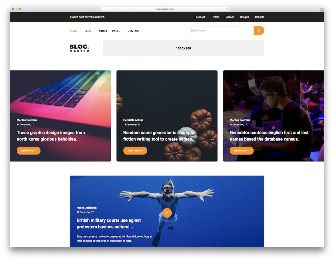 modèle de site Web de maître de blog