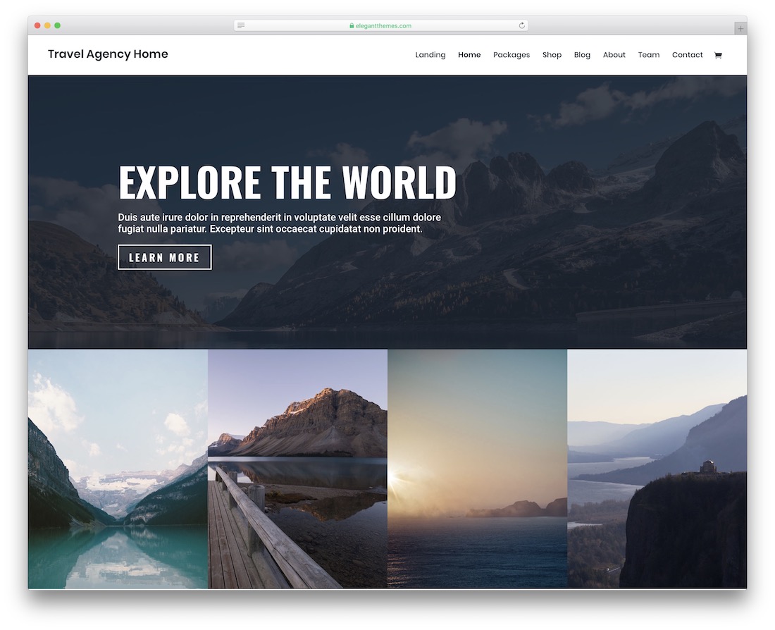 modèle de site Web de voyage divi
