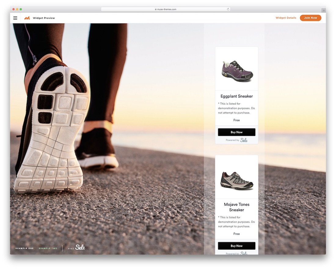 modèle de muse adobe gratuit pour le commerce électronique