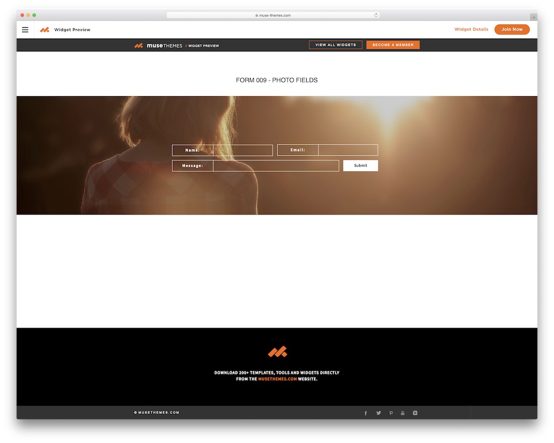 modèle gratuit de muse d'adobe de champs de photo