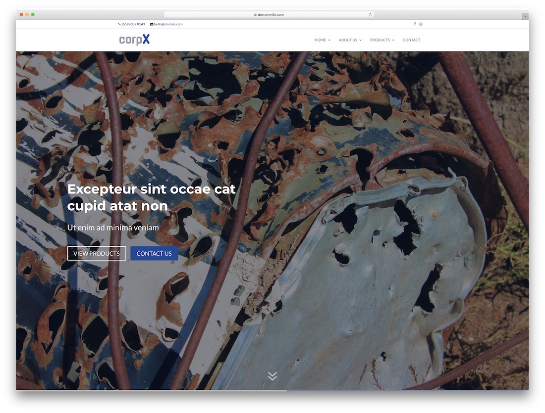 tema criança divi responsivo corpx