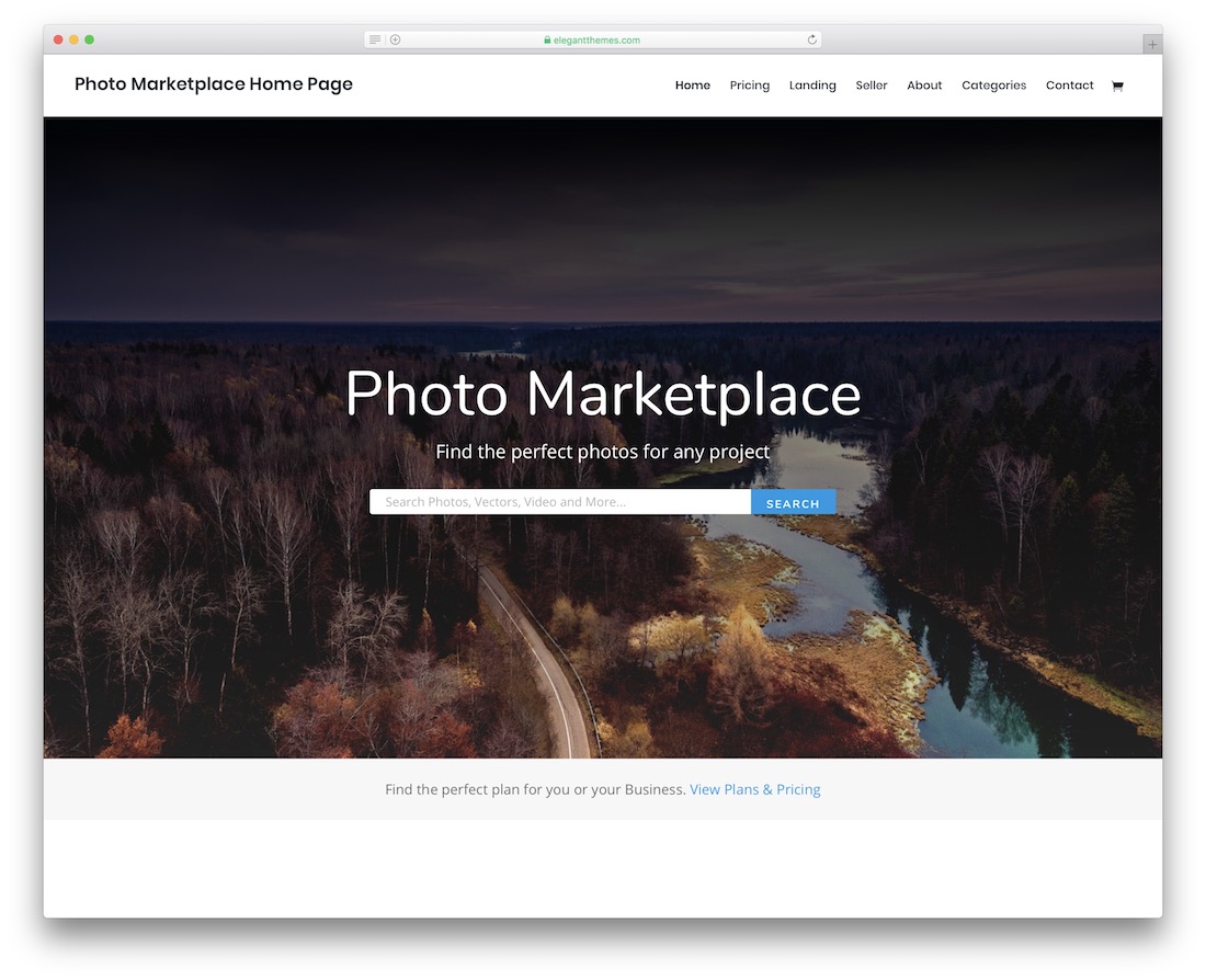 modelo de site de fotografia divi