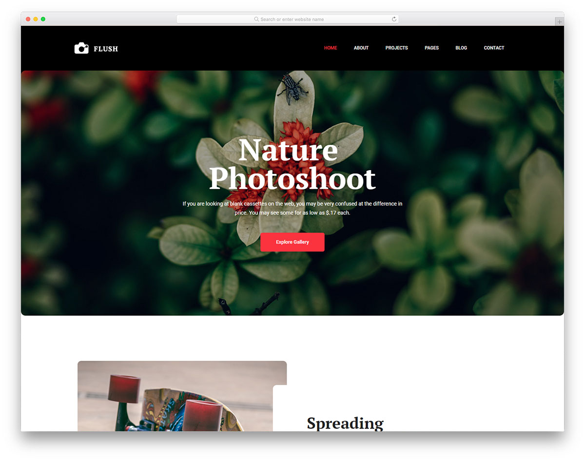 template livre de flash