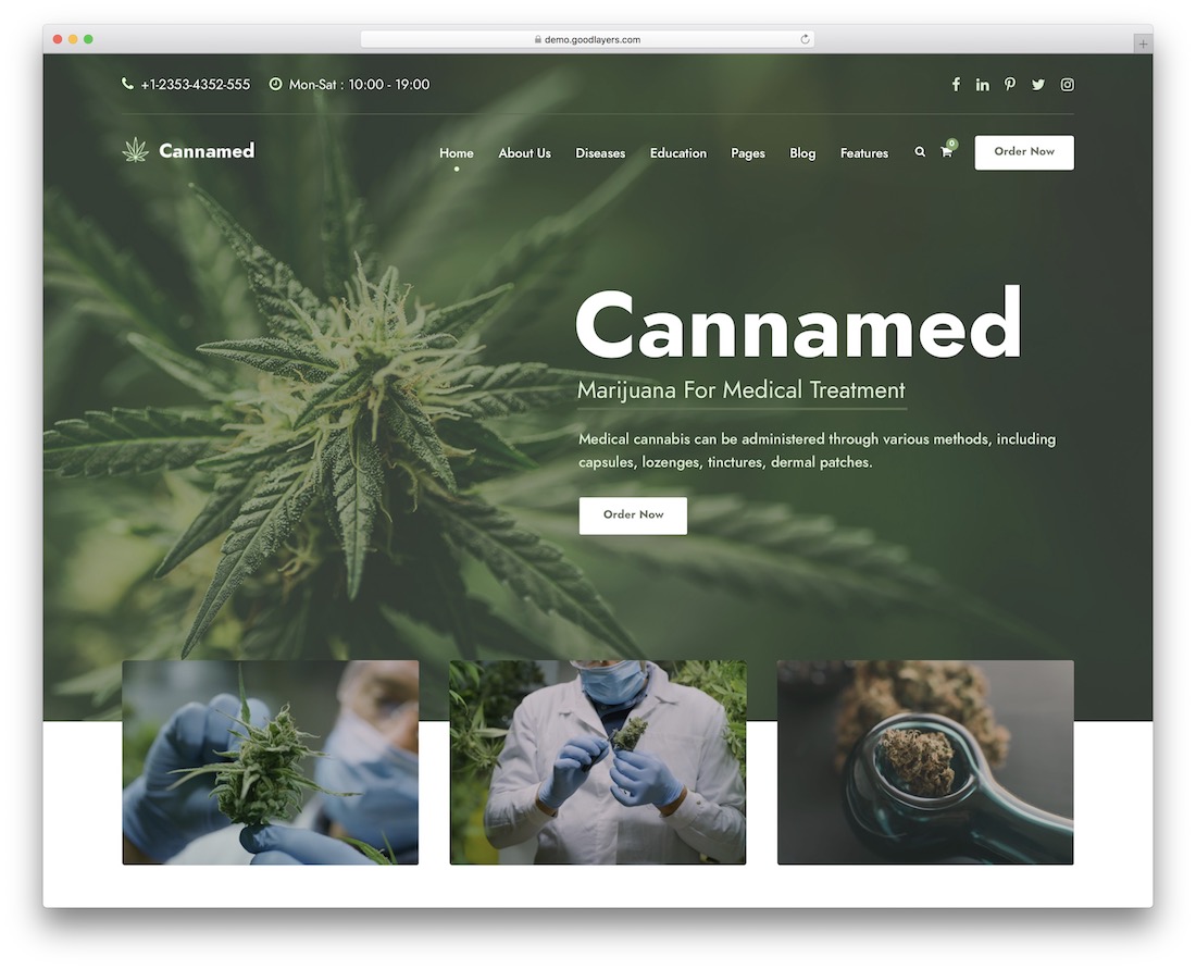 cannamed alternative Medizin WordPress-Theme
