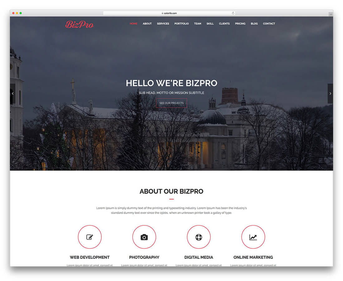 bizpro