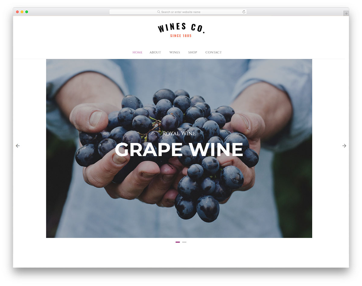 Modelo de vinhos grátis
