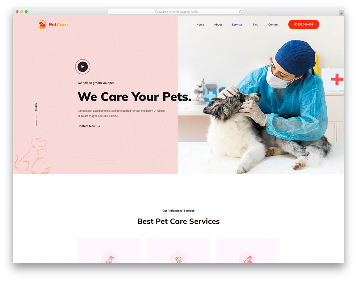 Modèle gratuit de soins pour animaux de compagnie