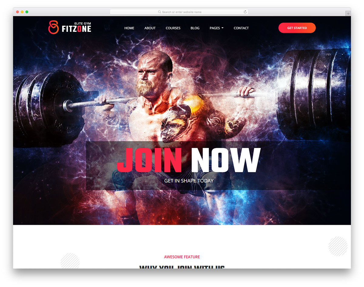 modèle gratuit fitzone2