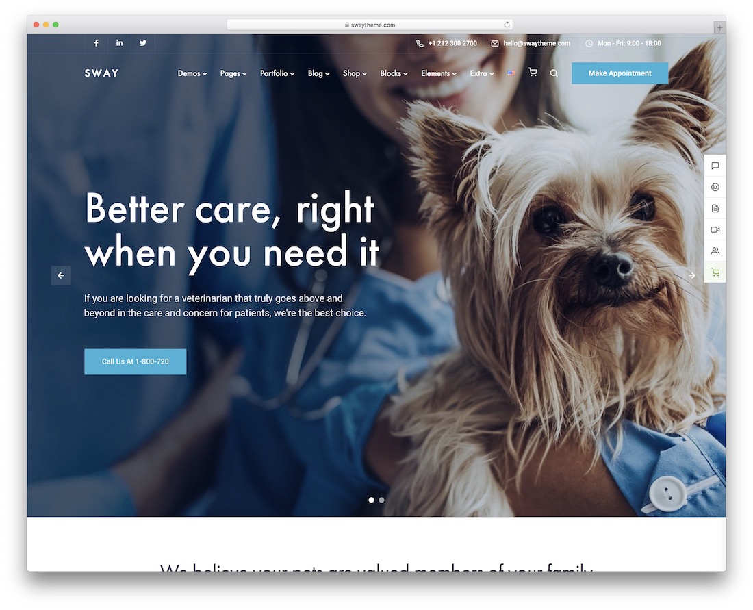 kołysać weterynaryjny motyw wordpress