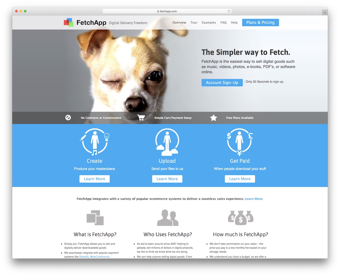 plate-forme fetchapp pour la vente de produits numériques