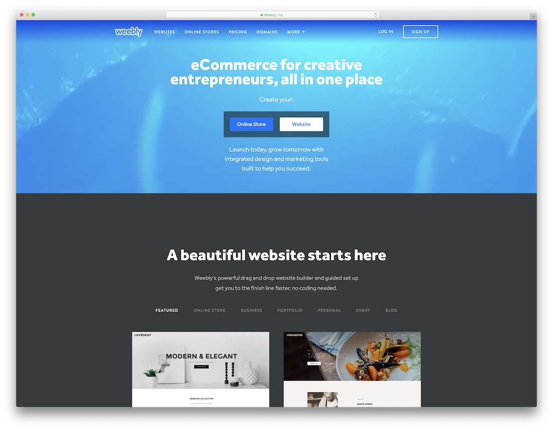 weebly najlepszy kreator stron internetowych dla artystów