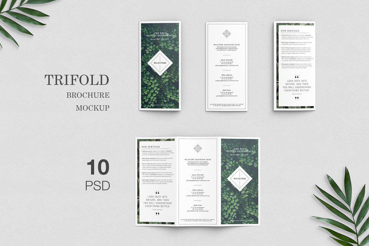 Мокап брошюры Trifold