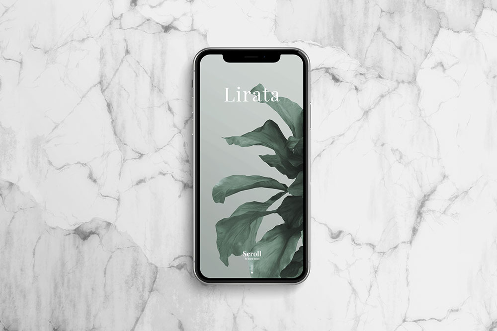 free iphone x mockup stone background