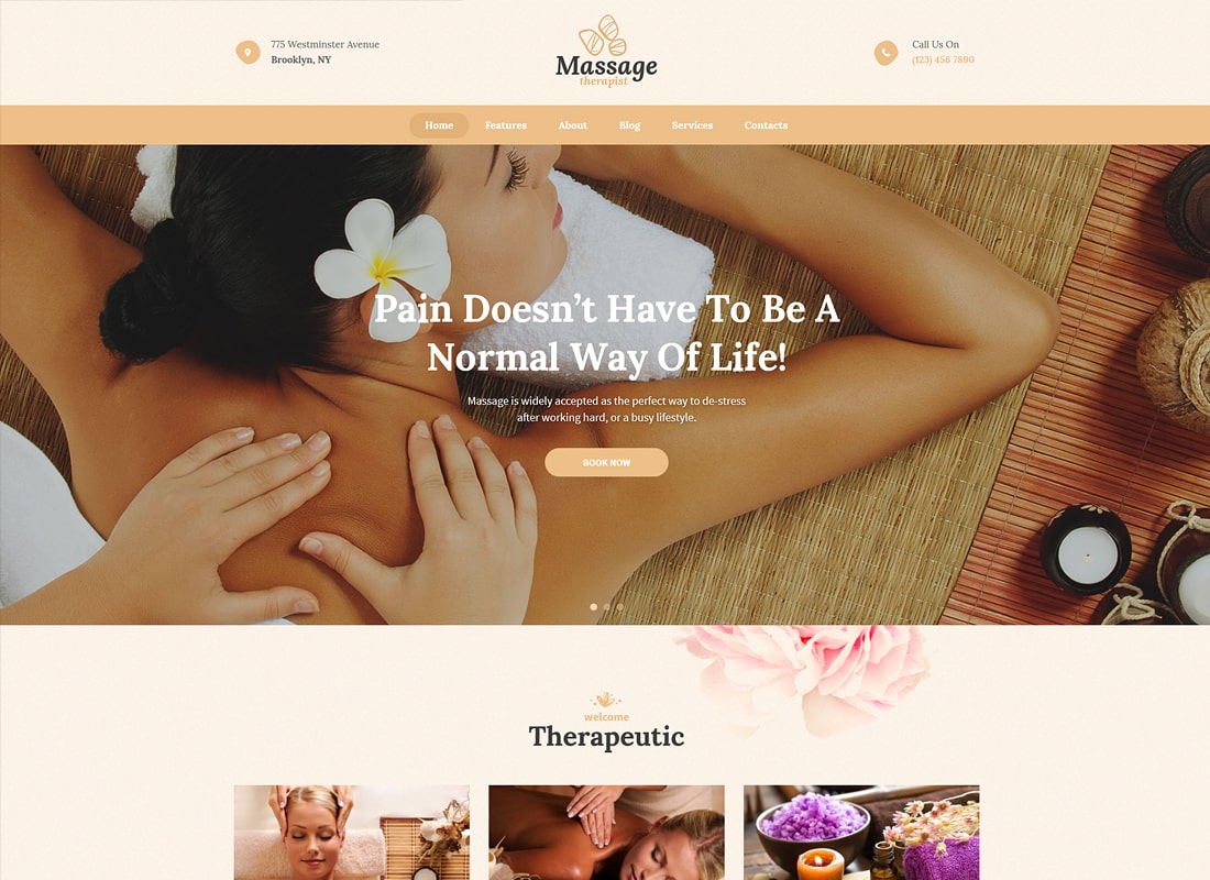 Masaj terapeut | Salon de masaj și spa Tema WordPress de lux