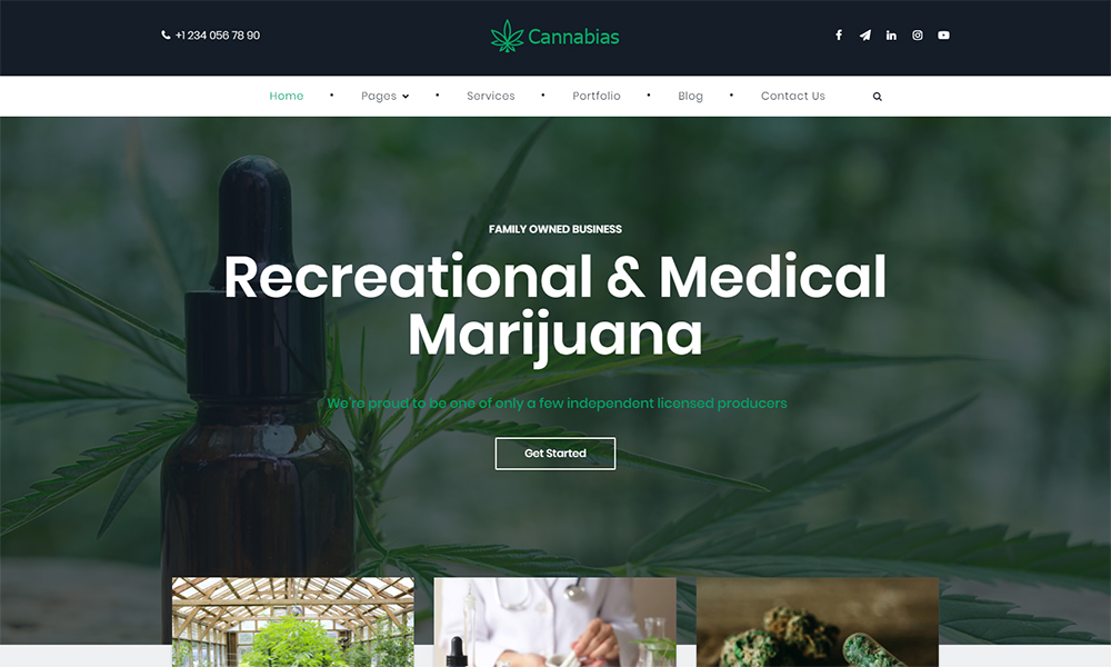Tema WordPress pentru afaceri cu marijuana medicală cannabii