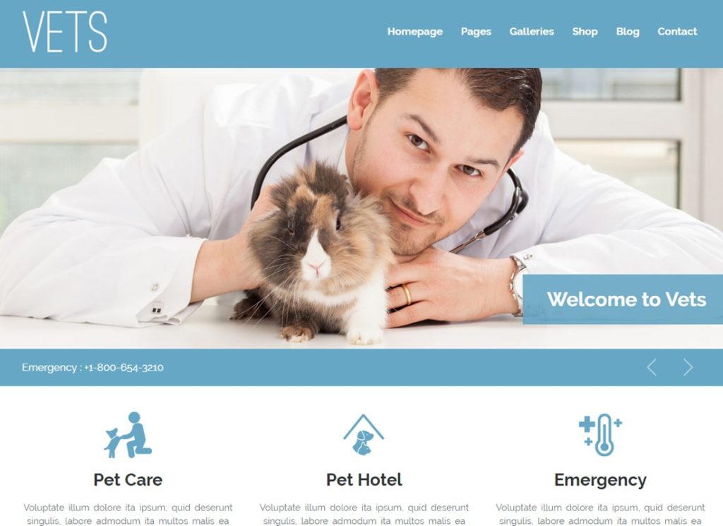 VETS | Tema WordPress pentru clinica medicală veterinară veterinară