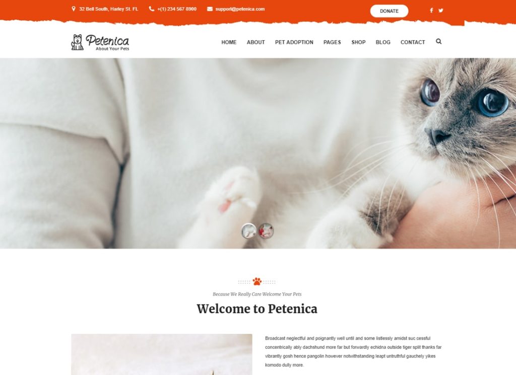 Petenica | Tema WordPress pentru pet sitter și adoptare