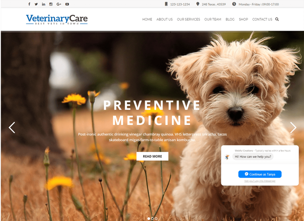 Îngrijirea veterinară | Tema WordPress pentru îngrijirea animalelor de companie și veterinar
