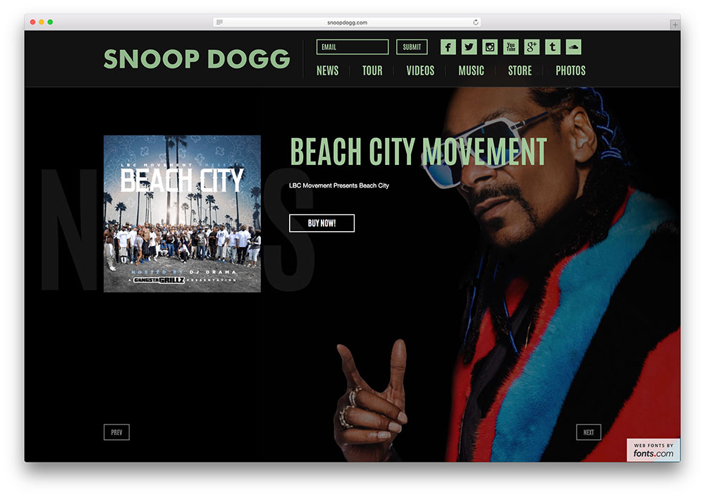 snoopdogg-hip-hop-artis-situs web-menggunakan-wordpress