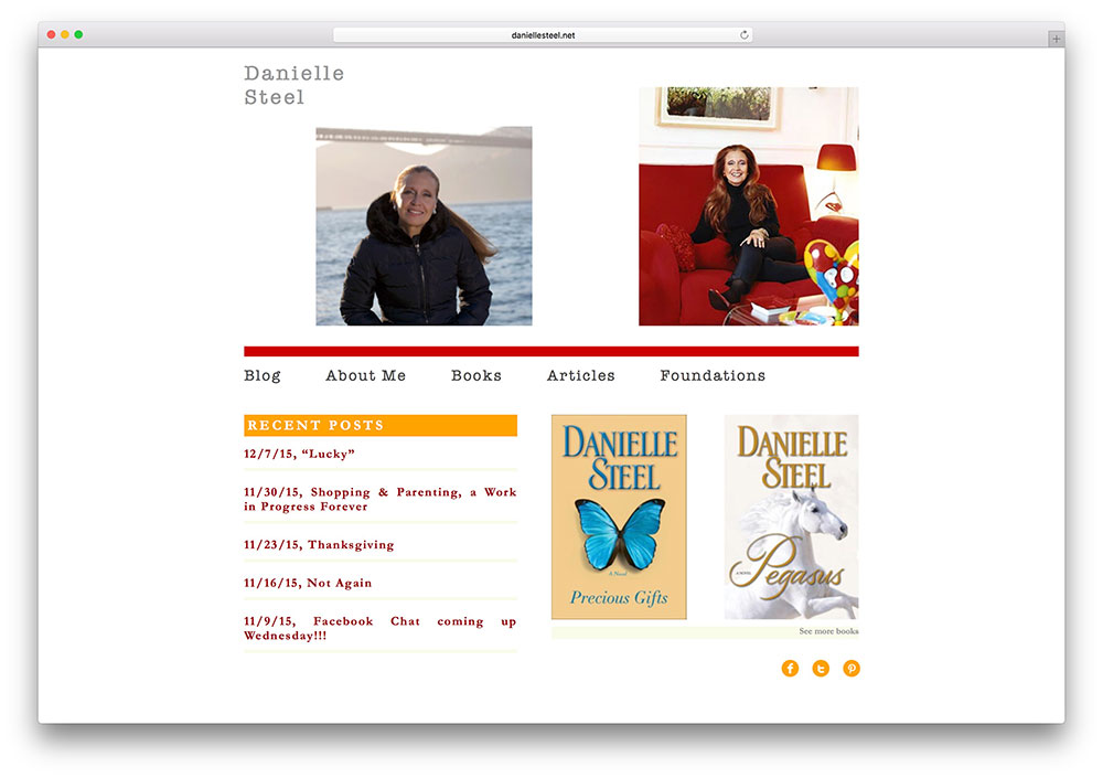 daniellesteel-penulis-terkenal-situs web-dengan-wp