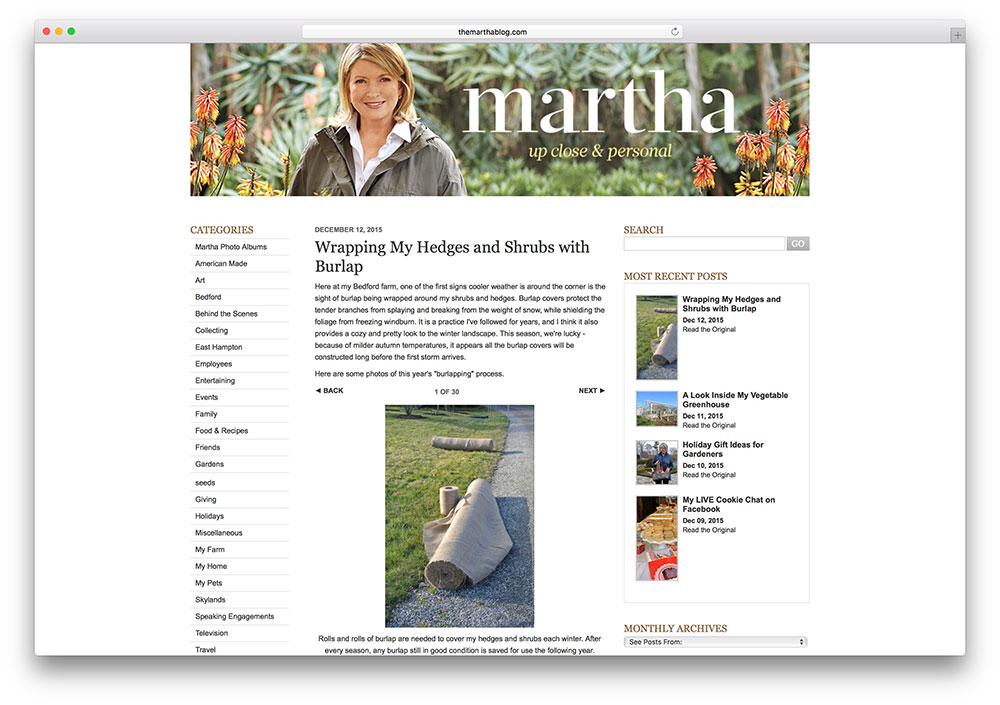 themarthablog-tv-personality-website-using-wordpress