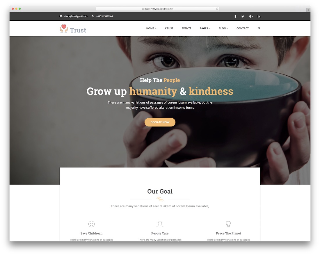 trust website template