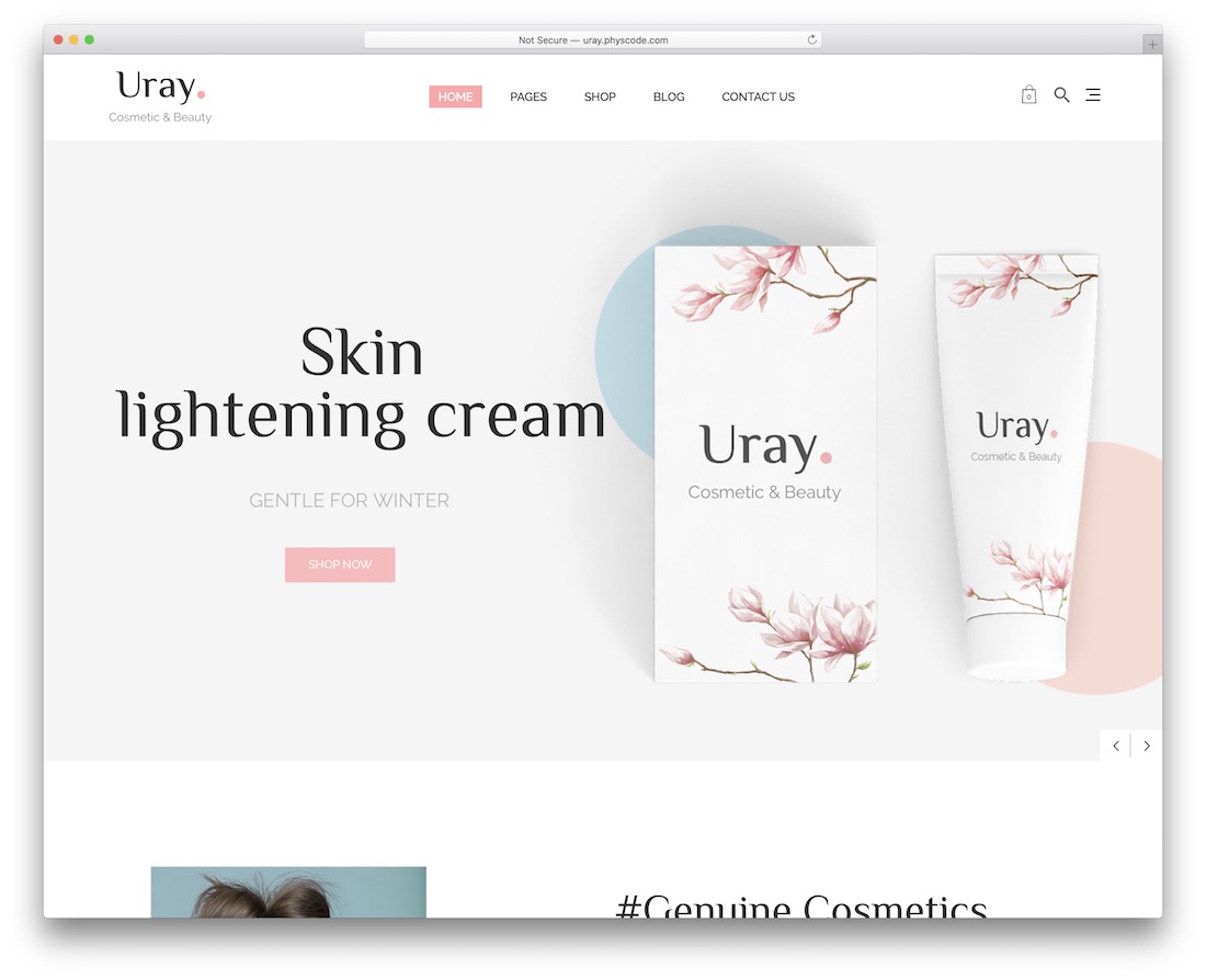 тема wordpress визажист uray