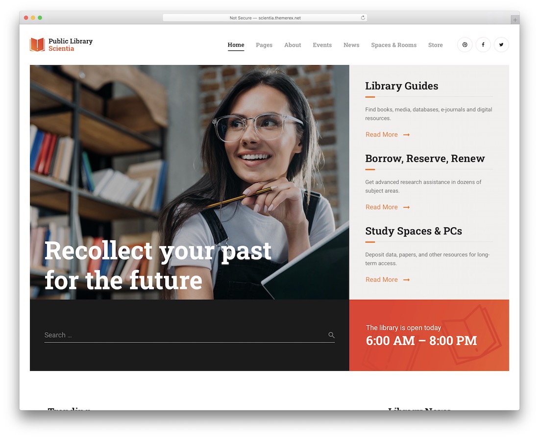 Scientia wordpress księgarnia motyw