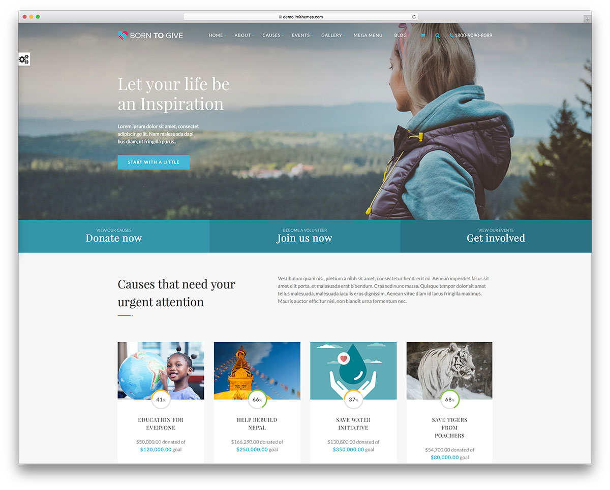 Motywy crowdfundingowe WordPress