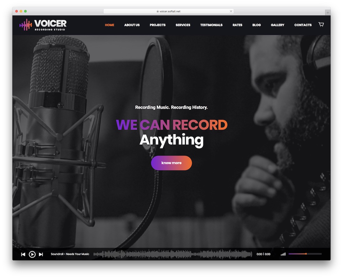 ธีมเสียง dj wordpress