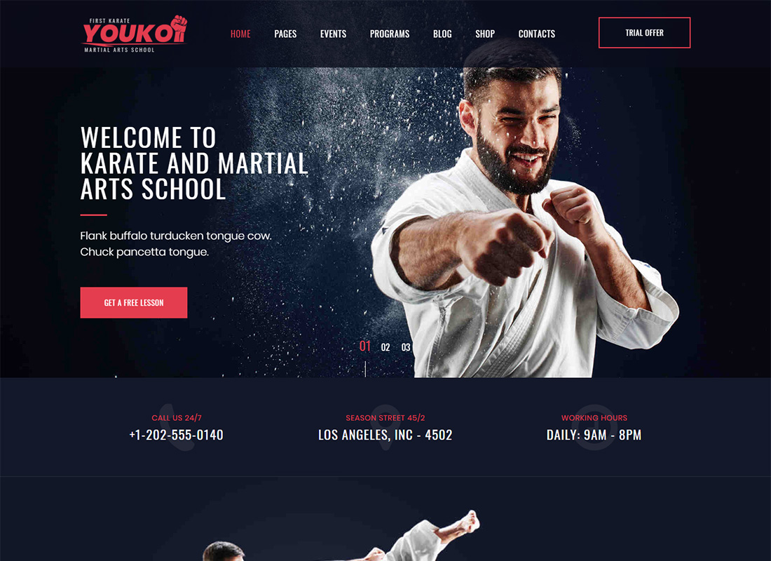 Youku فنون الدفاع عن النفس وورد الموضوع