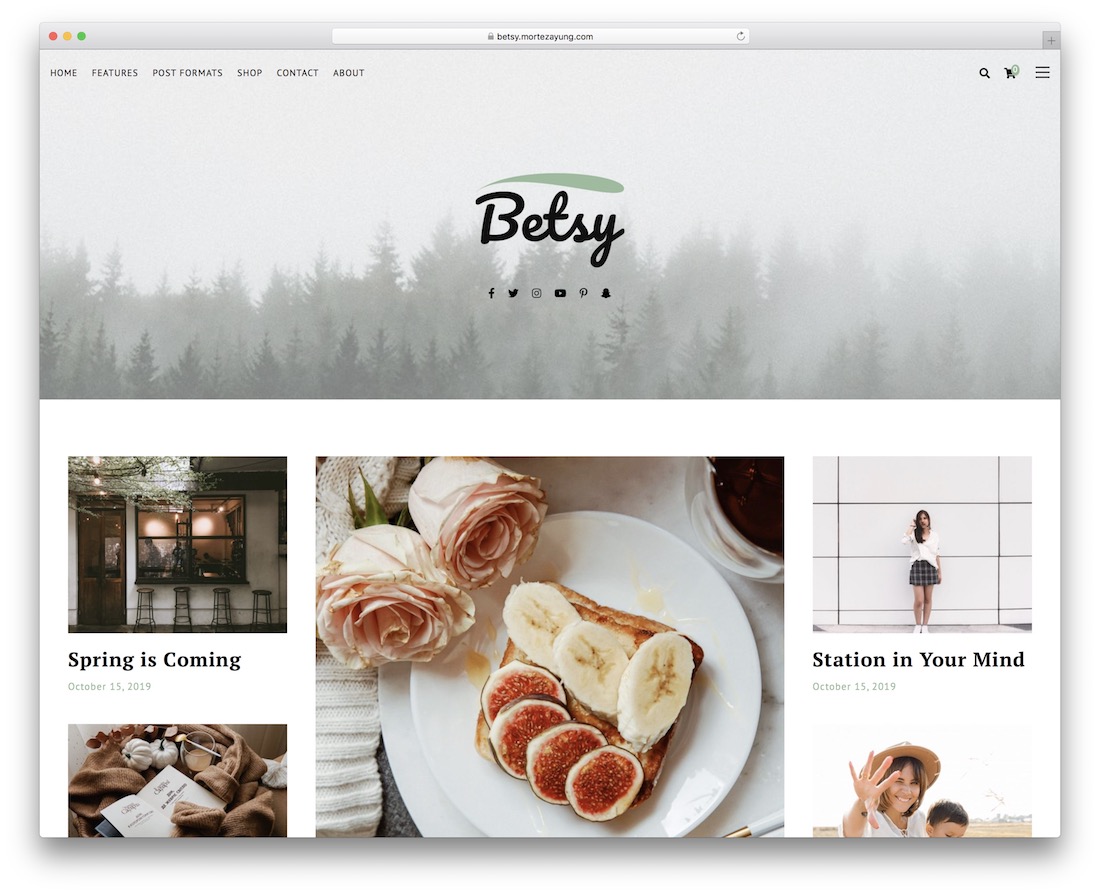 betsy masonry 網格 wordpress 主題