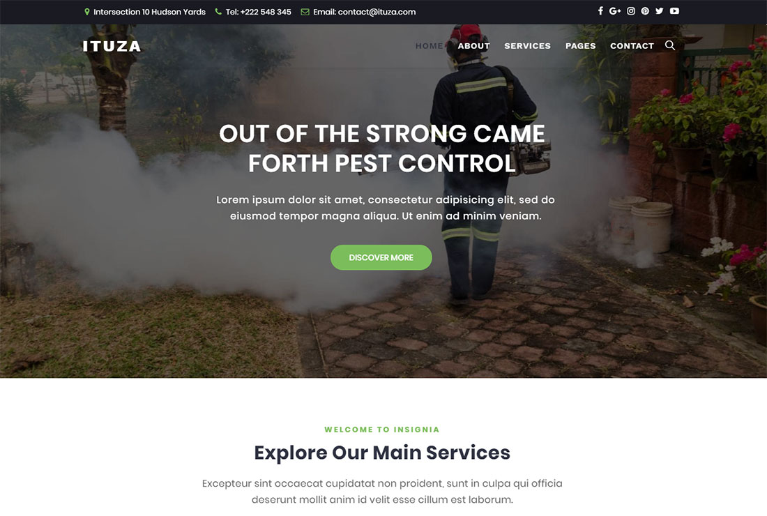 Ituza Pest Control Tema de WordPress